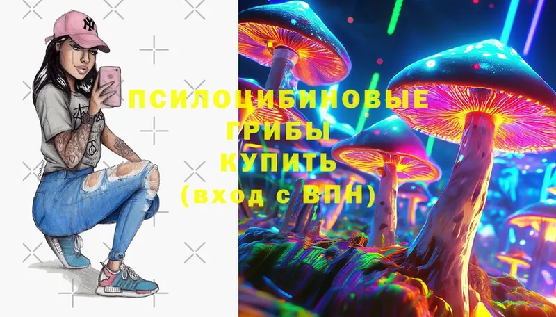 цена   Прокопьевск  Галлюциногенные грибы Psilocybe 